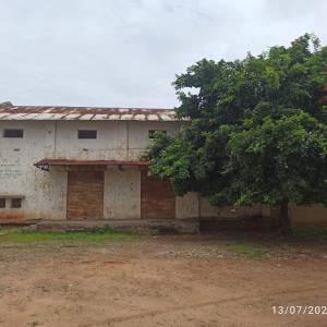 200_me.tana_godama_original